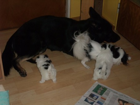 Rohkeasti vain isommatkin tuttavuudet