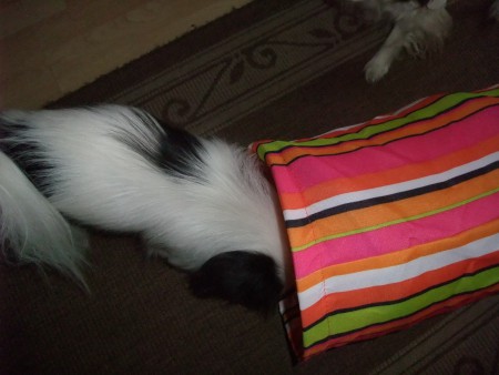 uusin opettelu on tunneliin meno